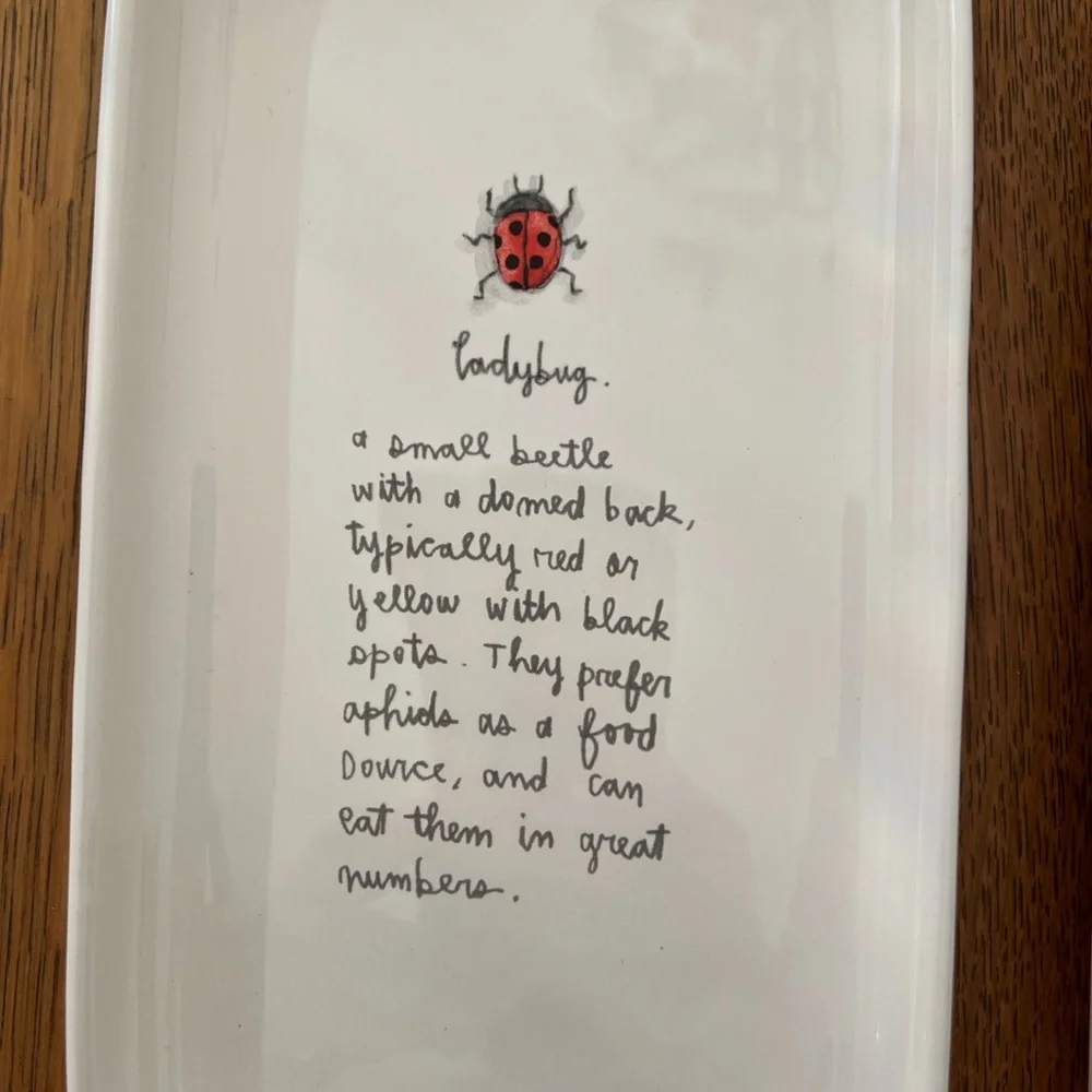 Rae Dunn White Trays with Ladybug and Bumblebee Designs